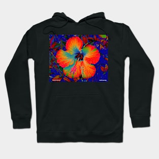 Festooned Hibiscus Hoodie